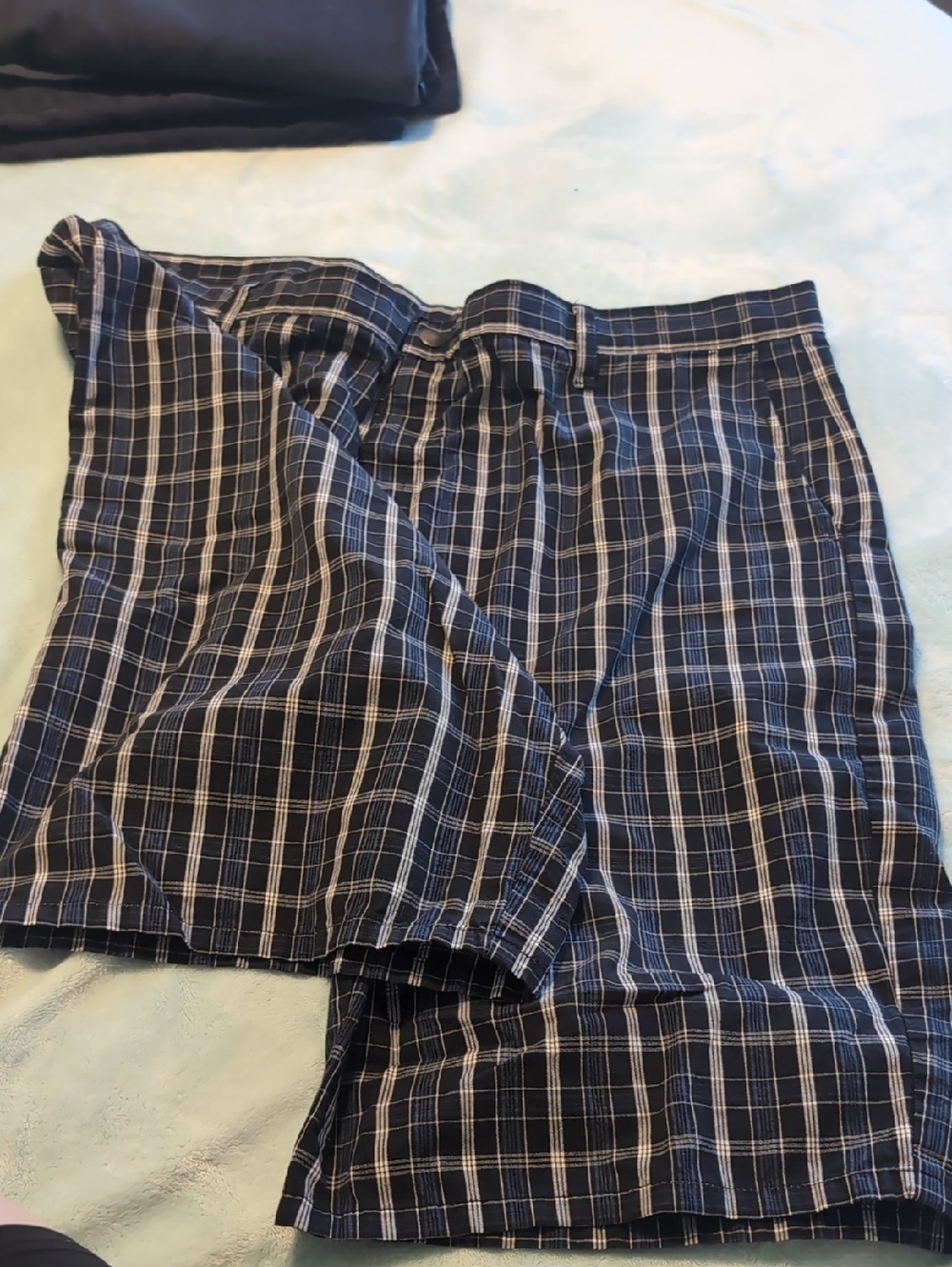 Dickies Blue/Black Plaid Shorts